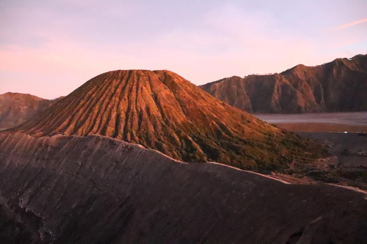 Good Karma Bromo Guesthouse Dış mekan fotoğraf