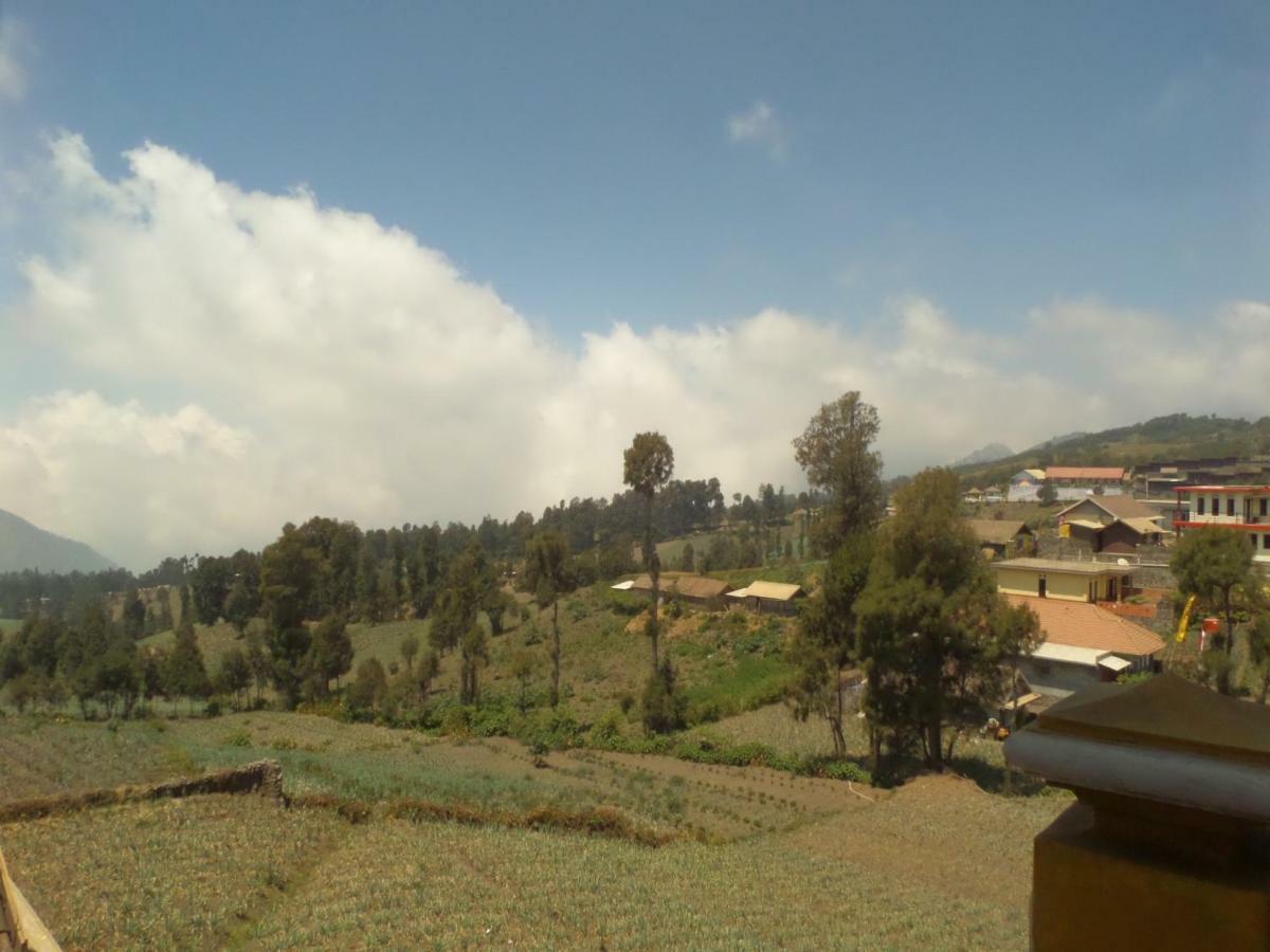 Good Karma Bromo Guesthouse Dış mekan fotoğraf